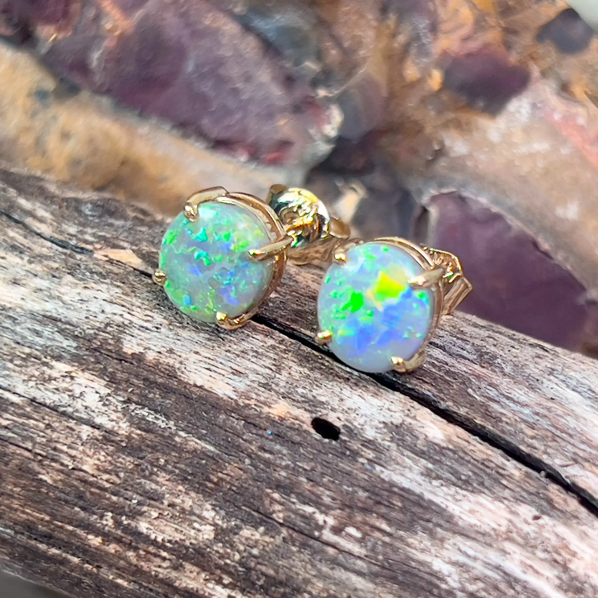14kt Yellow Gold claw set Black Opal studs 1.59ct