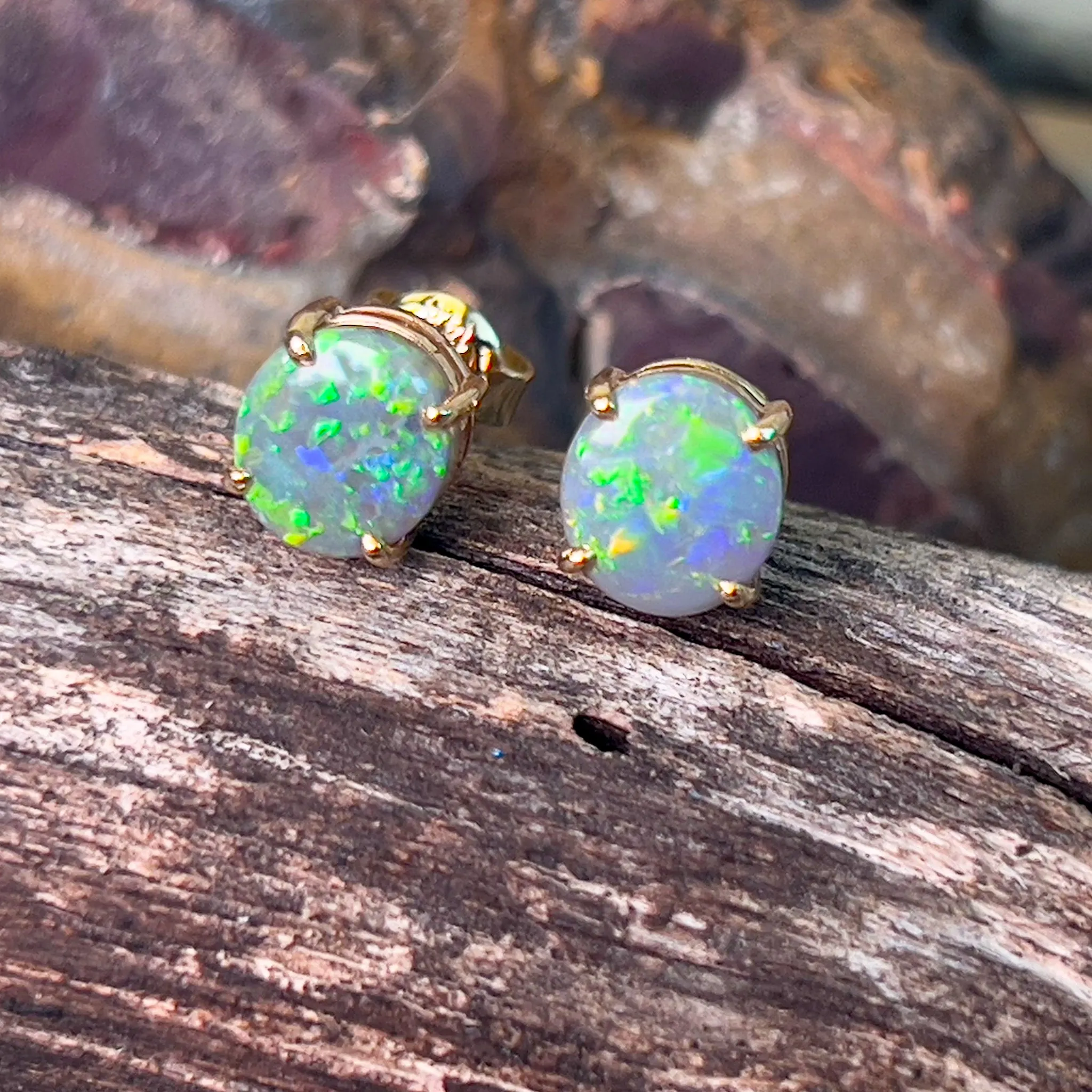 14kt Yellow Gold claw set Black Opal studs 1.59ct
