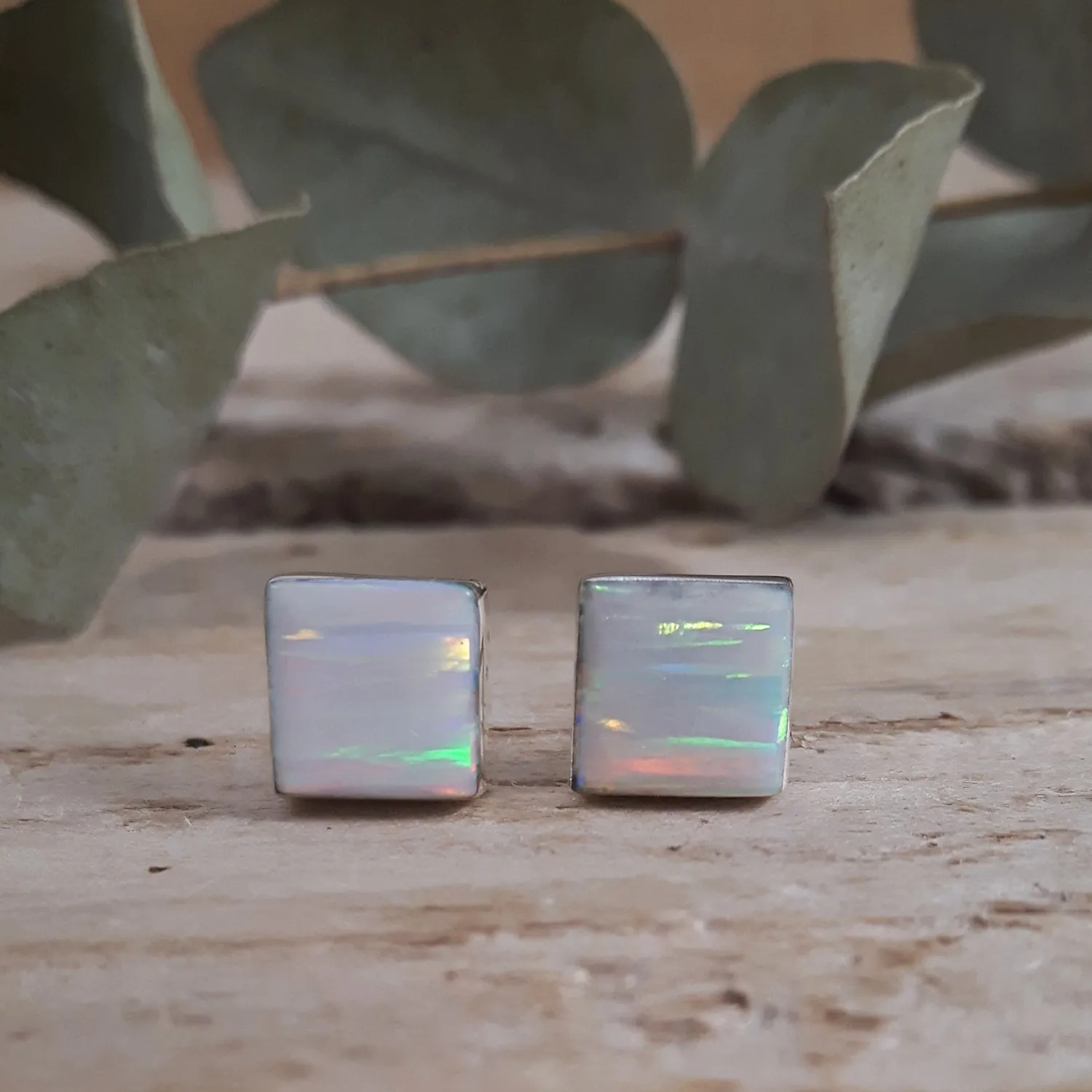 Flinder White Square Stud Earrings